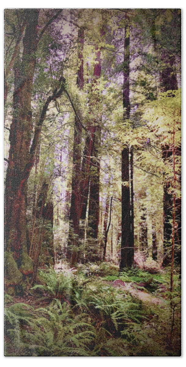 Redwoods. Humboldt County Bath Towel featuring the photograph Forest Light by Daniele Smith