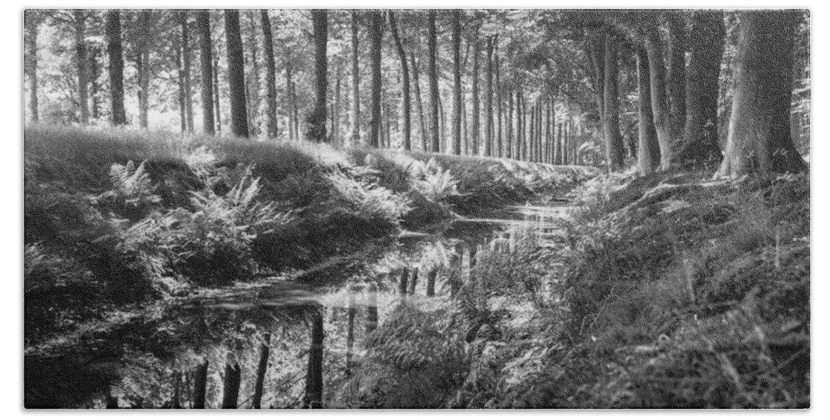 Black&white Hand Towel featuring the photograph Forest by MPhotographer