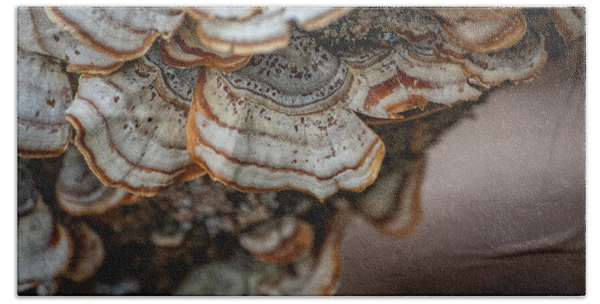 Nature Bath Sheet featuring the photograph Forest Shells by Linda Bonaccorsi