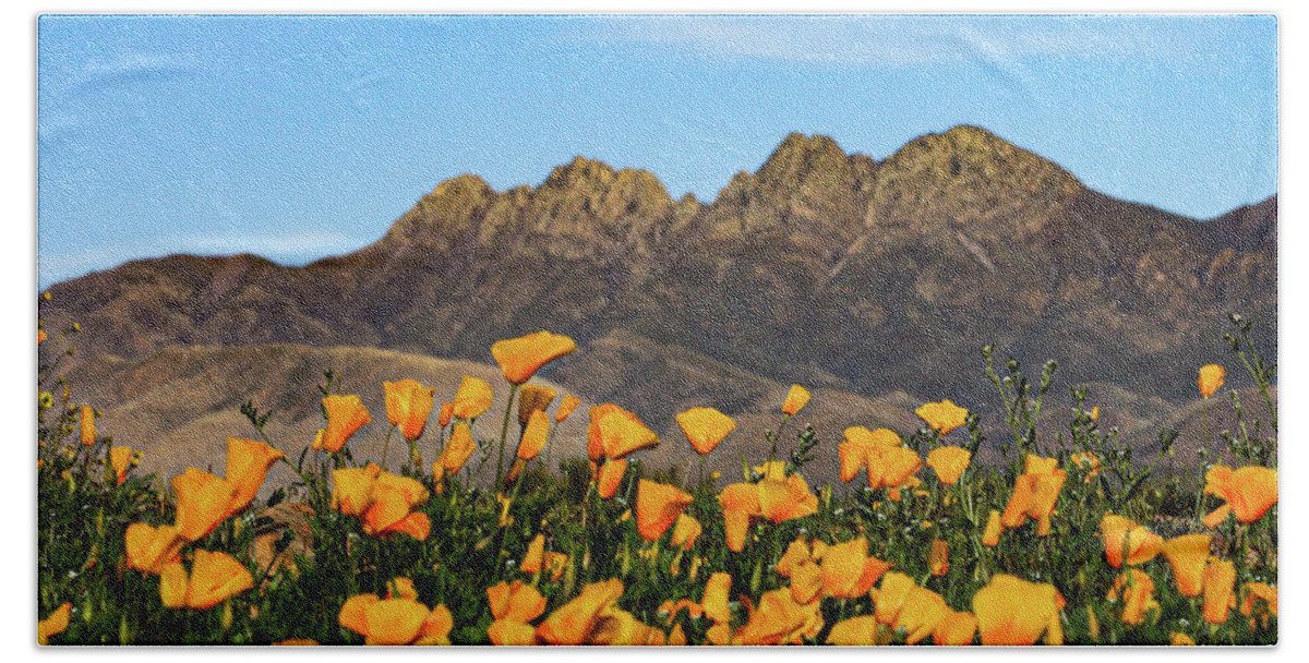 Four Peaks Bath Towel featuring the photograph Four Peaks in Spring by Bonny Puckett