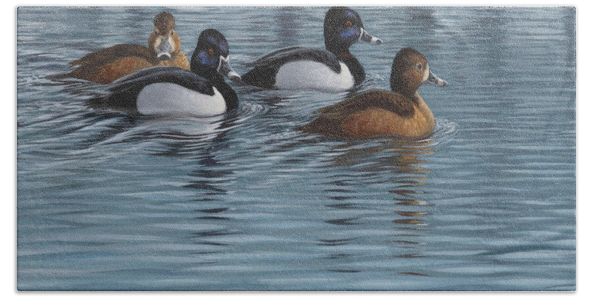Ringnecked Ducks Hand Towel featuring the painting Four Ringbills by Guy Crittenden