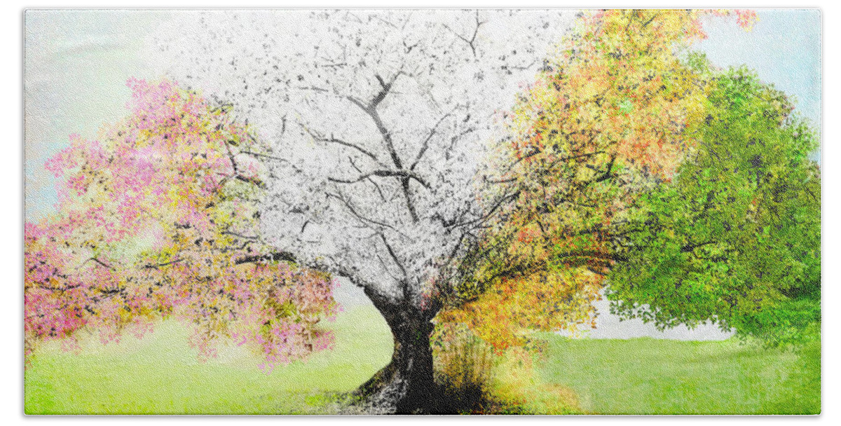 Tree Hand Towel featuring the photograph Four Season Tree by Susan Hope Finley
