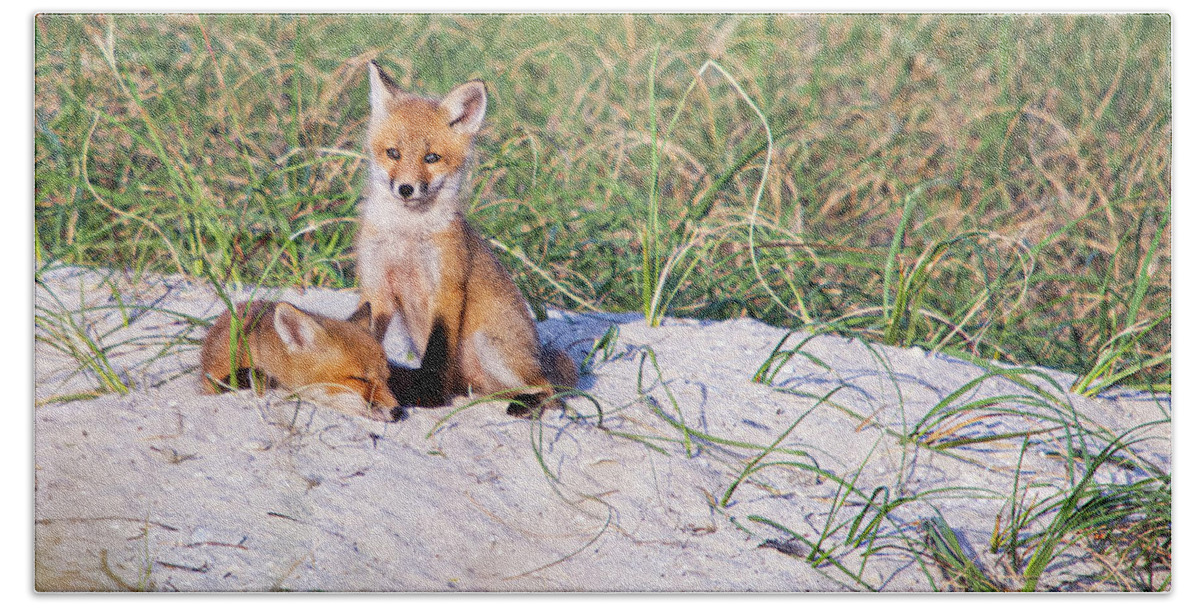 Red Fox Bath Towel featuring the photograph Fox Kits on the Crystal Coast of North Carolina by Bob Decker