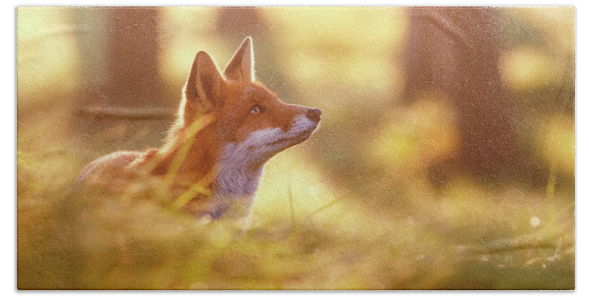 Fox Hand Towel featuring the photograph Fox of Hope by Roeselien Raimond