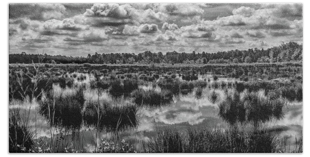 Cloudplay Hand Towel featuring the photograph Franklin Parker Preserve Pine Lands by Louis Dallara