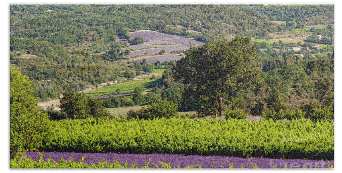 Provence Bath Towel featuring the photograph French Lavender Farms in Provence Three by Bob Phillips