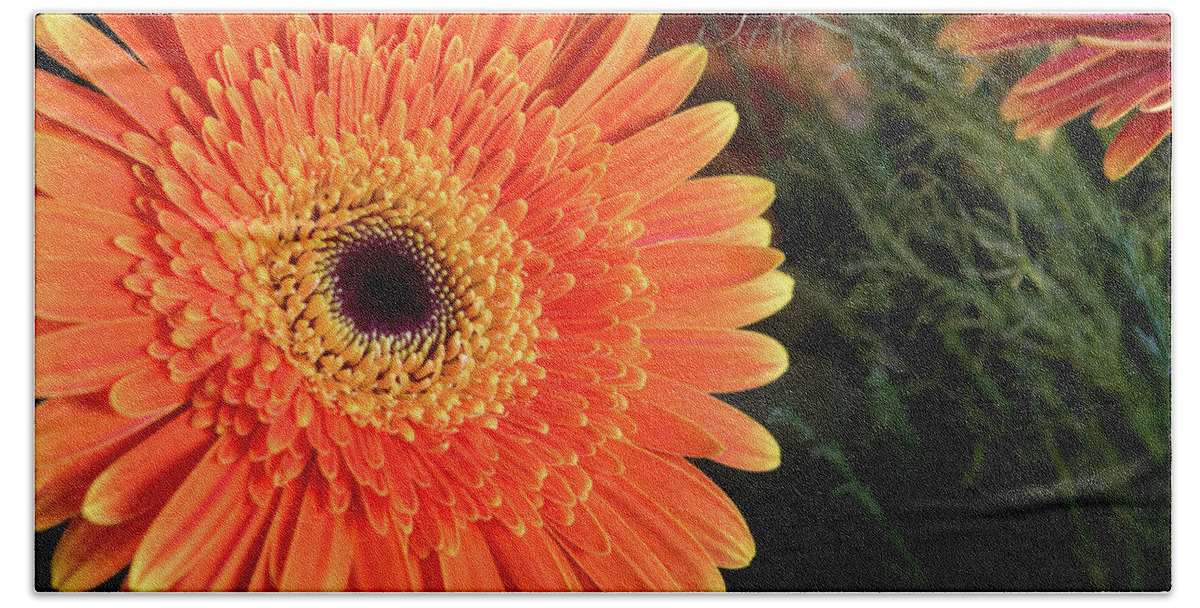 Gerbera Jamesonii Bath Towel featuring the photograph Fresh blooming Daisy flower  by Michalakis Ppalis