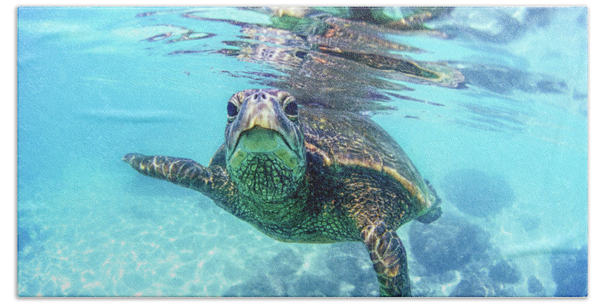 Sea Hand Towel featuring the photograph friendly Hawaiian sea turtle by Sean Davey