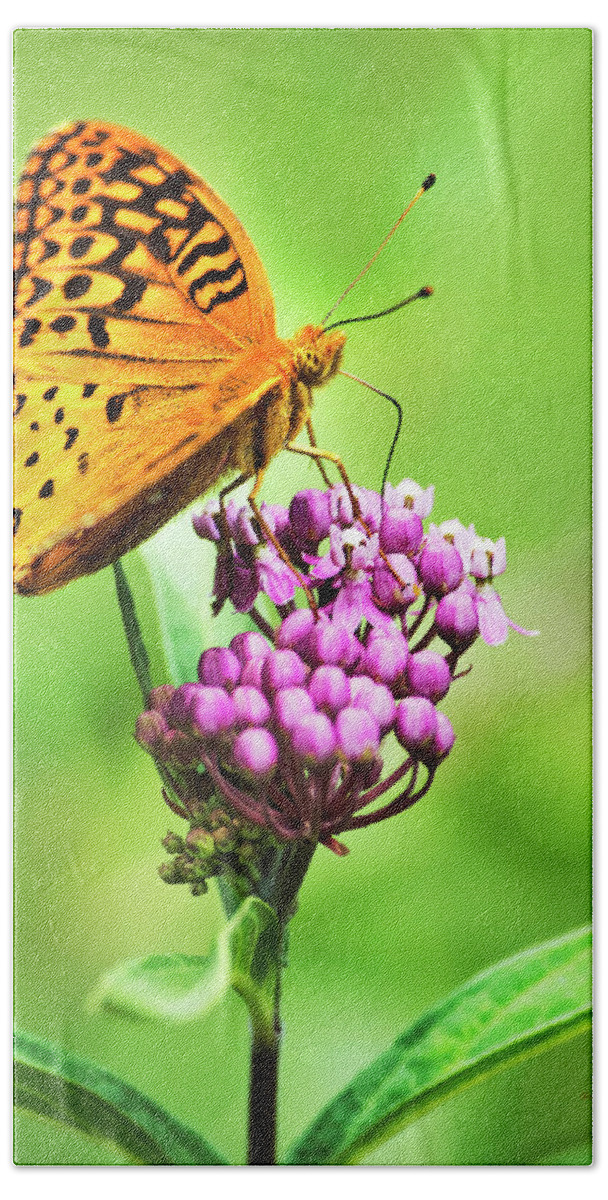 Butterfly Bath Towel featuring the photograph Fritillary Butterfly and Flower by Christina Rollo