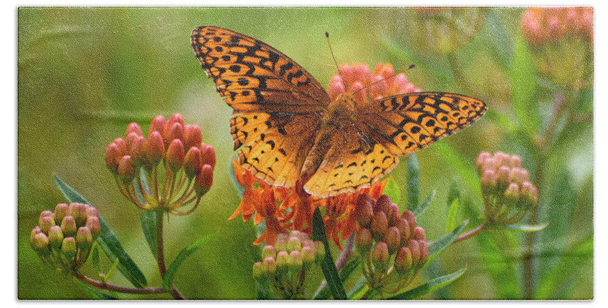 Fritillary Butterfly Bath Towel featuring the photograph Fritillary In the Flowers by Kerri Farley