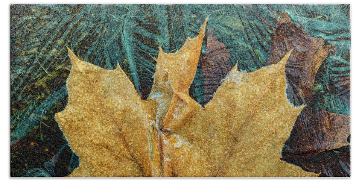 Leaf Bath Towel featuring the photograph Frosty Leaf On Ice Patterns by Gary Slawsky
