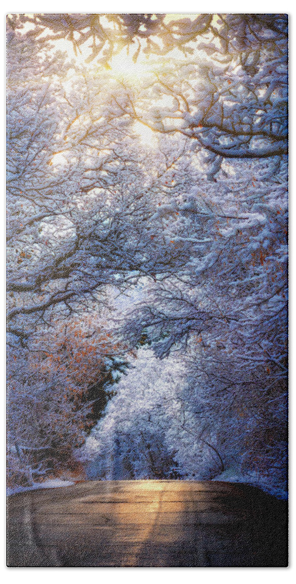 Frost Hand Towel featuring the photograph Frosty Morning by Michael Ash