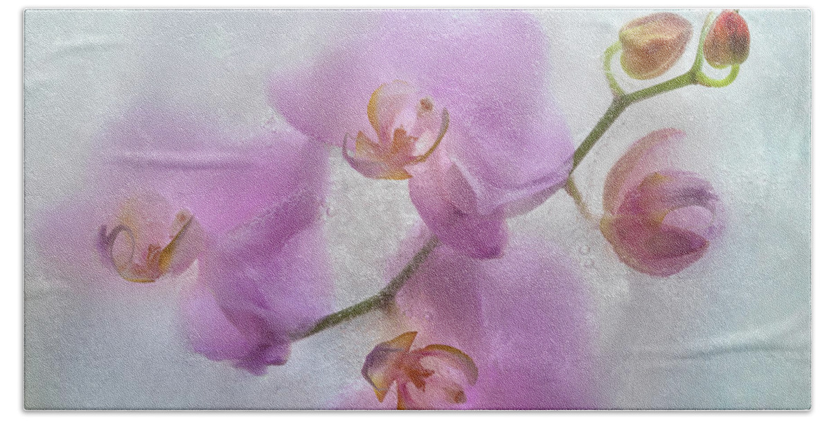 Orchid Hand Towel featuring the photograph Frozen Beauty by Elvira Peretsman