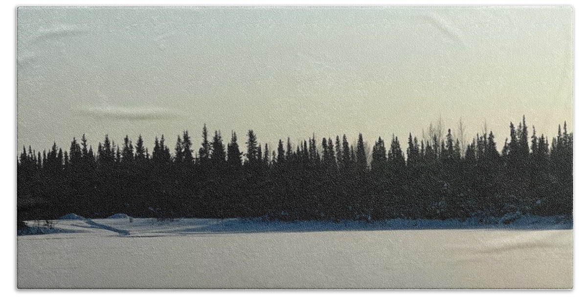 Winter Bath Towel featuring the photograph Frozen Forest by Barbara Von Pagel
