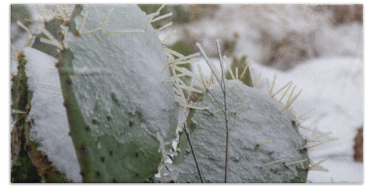 Prickly Bath Towel featuring the photograph Frozen Prickly Pear by Steve Templeton