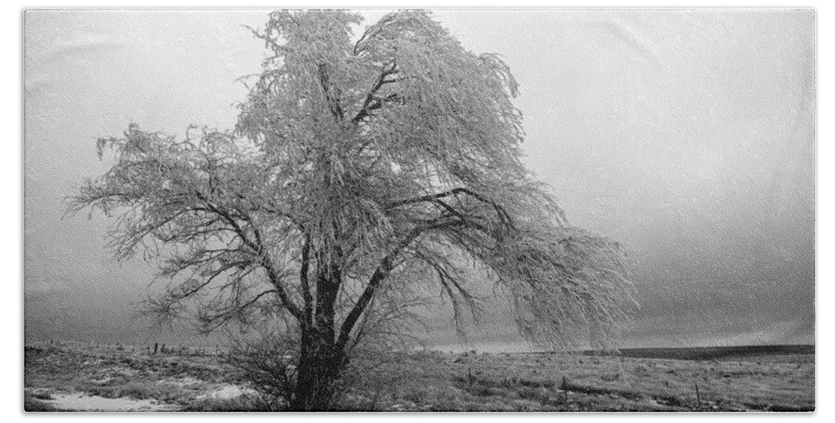 Frozen Bath Towel featuring the photograph Frozen Tree-Black and White by Steve Templeton