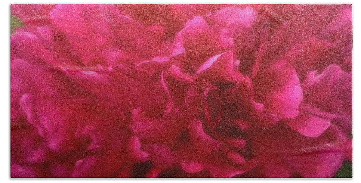 Peony Bath Towel featuring the photograph Fuchsia Peony Macro by Tracey Vivar