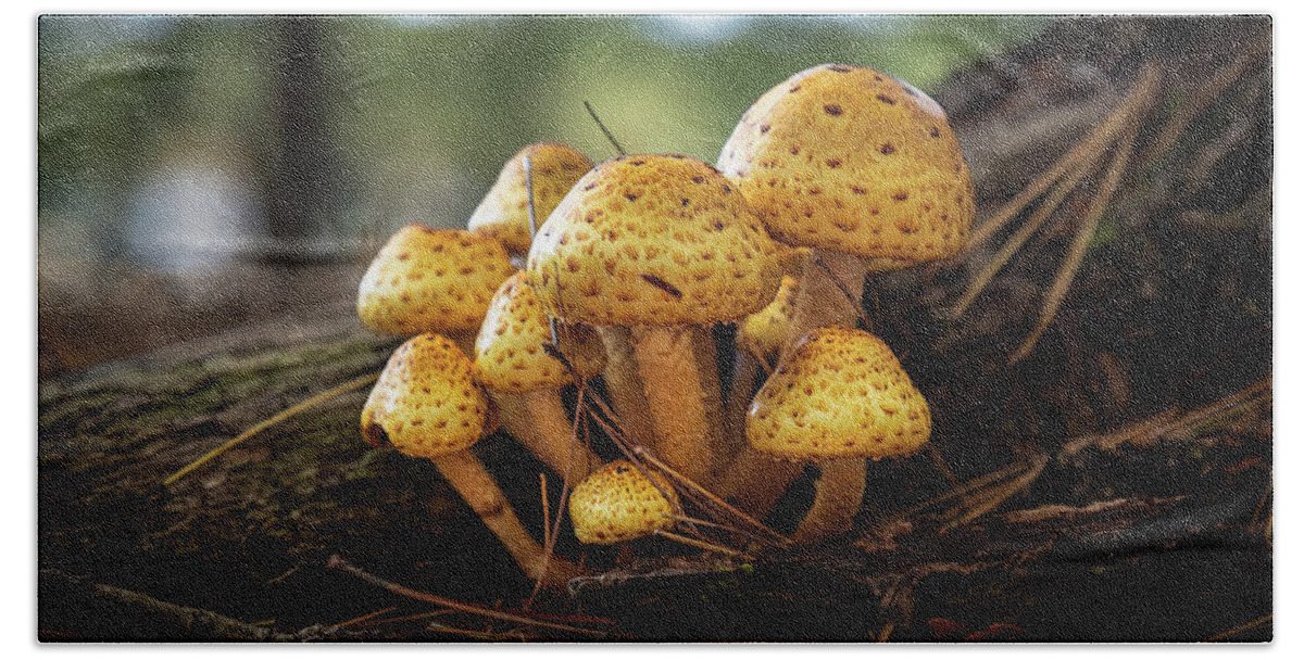 Mushrooms Maine Nature Bath Towel featuring the photograph Fungi Family by David Hufstader