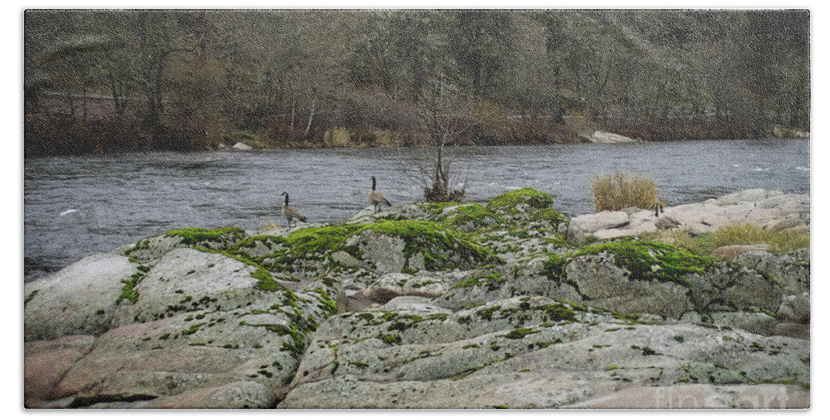Geese Hand Towel featuring the photograph Geese on the Rogue River IV by Theresa Fairchild
