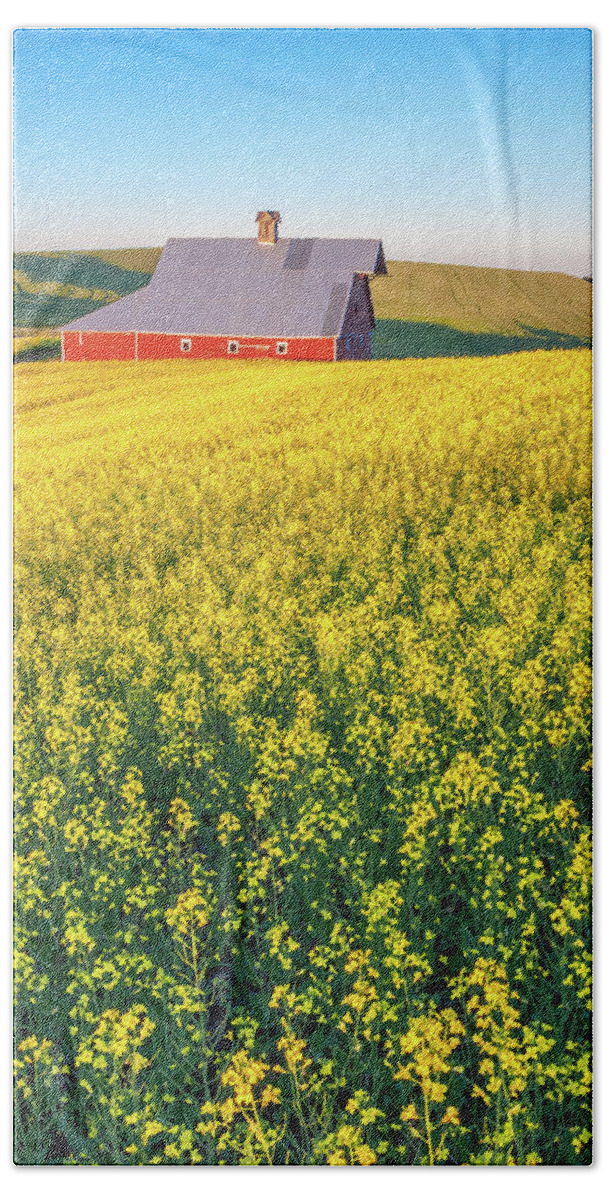 Outdoors Bath Towel featuring the photograph Genesee Canola and Barn II by Doug Davidson