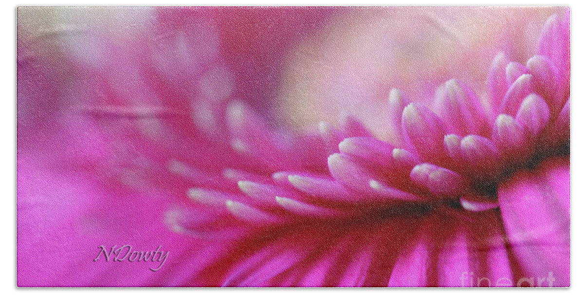Gerber Daisy Pink Hand Towel featuring the photograph Gerber Daisy Pink by Natalie Dowty