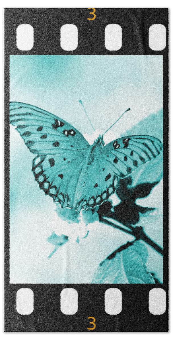 Gulf Bath Towel featuring the photograph Gulf Fritillary Butterfly Cyan Filmstrip 3 by David Weeks