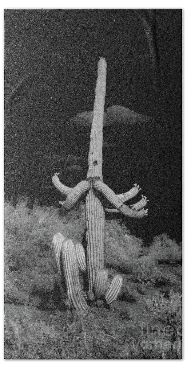 Ir Hand Towel featuring the photograph Ghostly Saguaro #1 by Kenneth Johnson