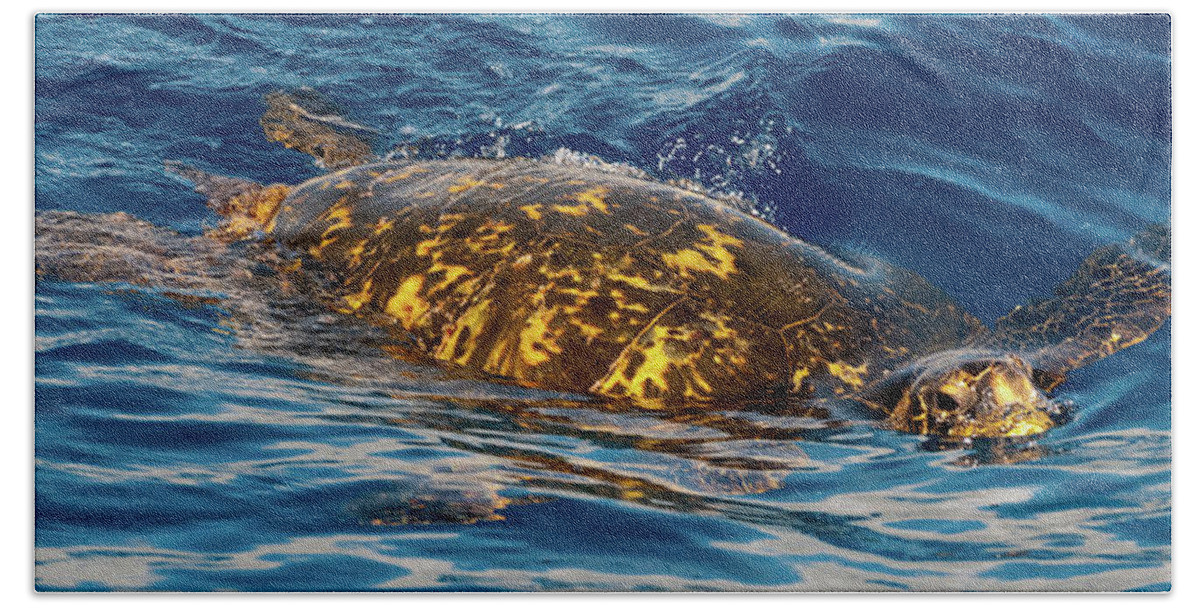 Kauai Hand Towel featuring the photograph Giant Green Turtle. by Doug Davidson
