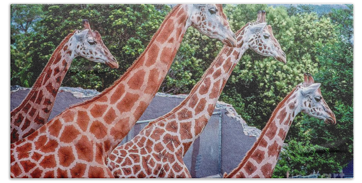 Giraffe Bath Towel featuring the photograph Giraffes by Fran Woods