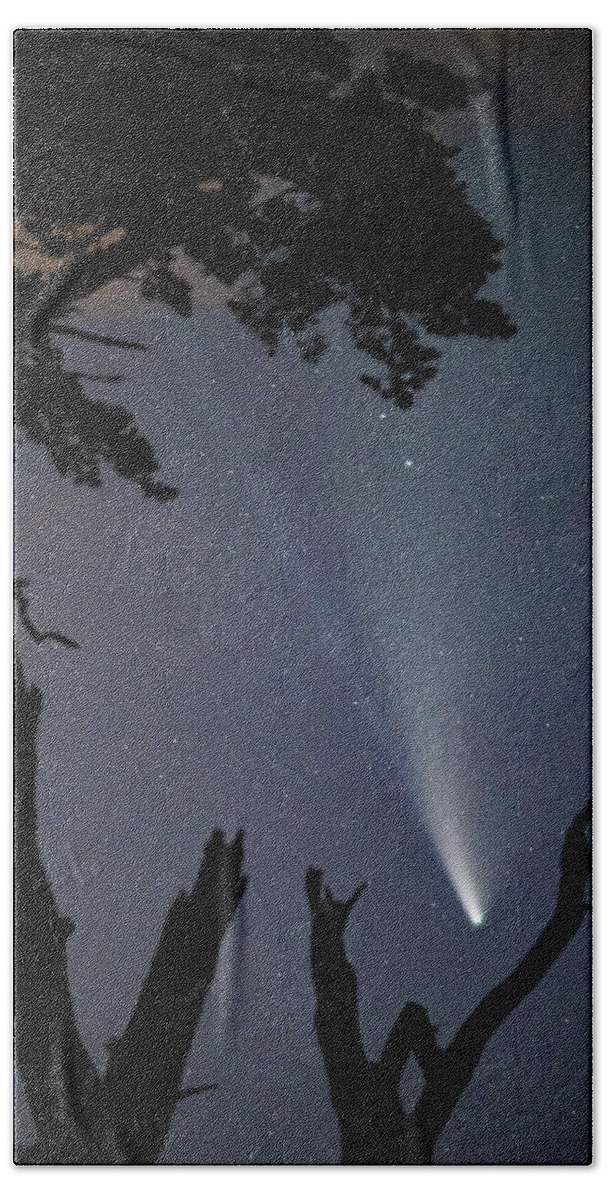 Tree Bath Towel featuring the photograph Glory of Comet Neowise by Rob Hemphill