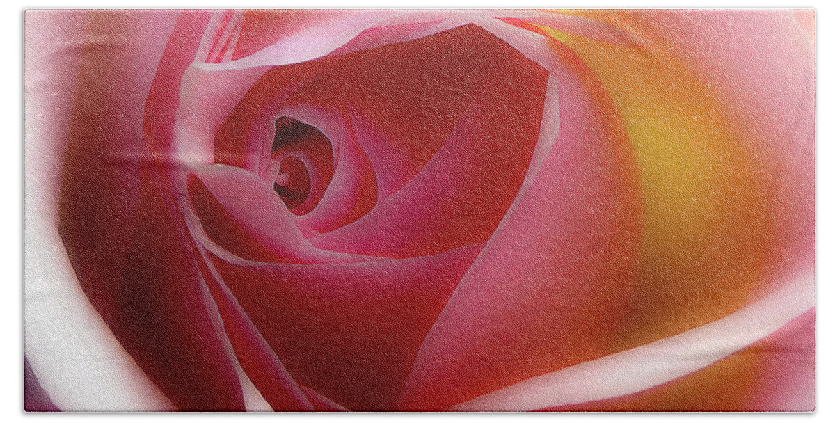 Rose Hand Towel featuring the photograph Glowing Rose HDR by Johanna Hurmerinta