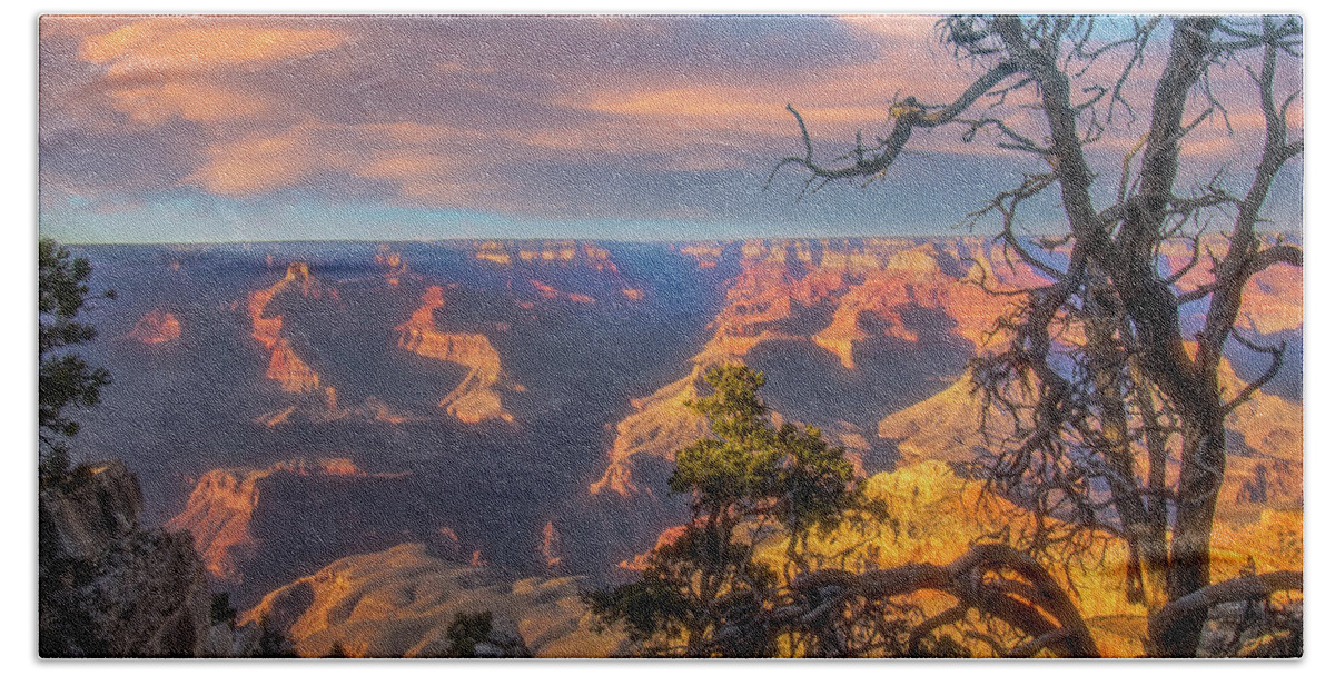 Arizona Bath Towel featuring the photograph Gnarled juniper on Canyon Rim by Jeff Folger