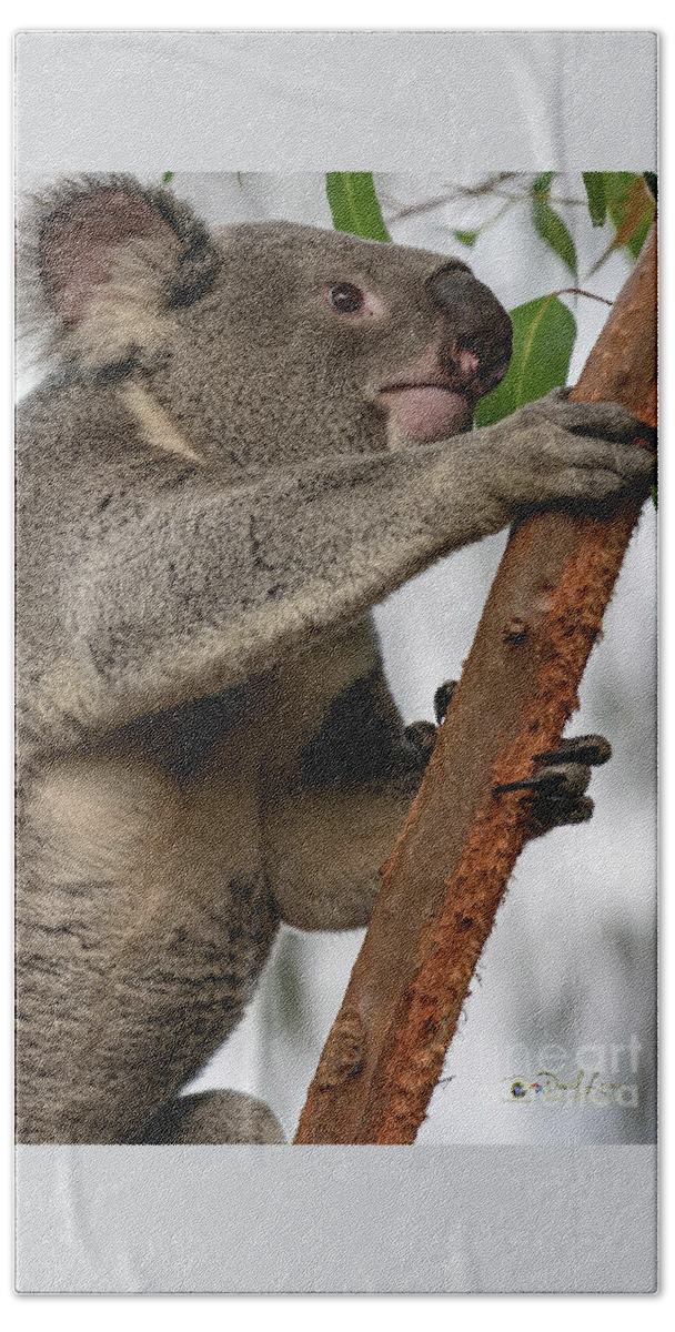 San Diego Zoo Bath Towel featuring the photograph Going Up by David Levin