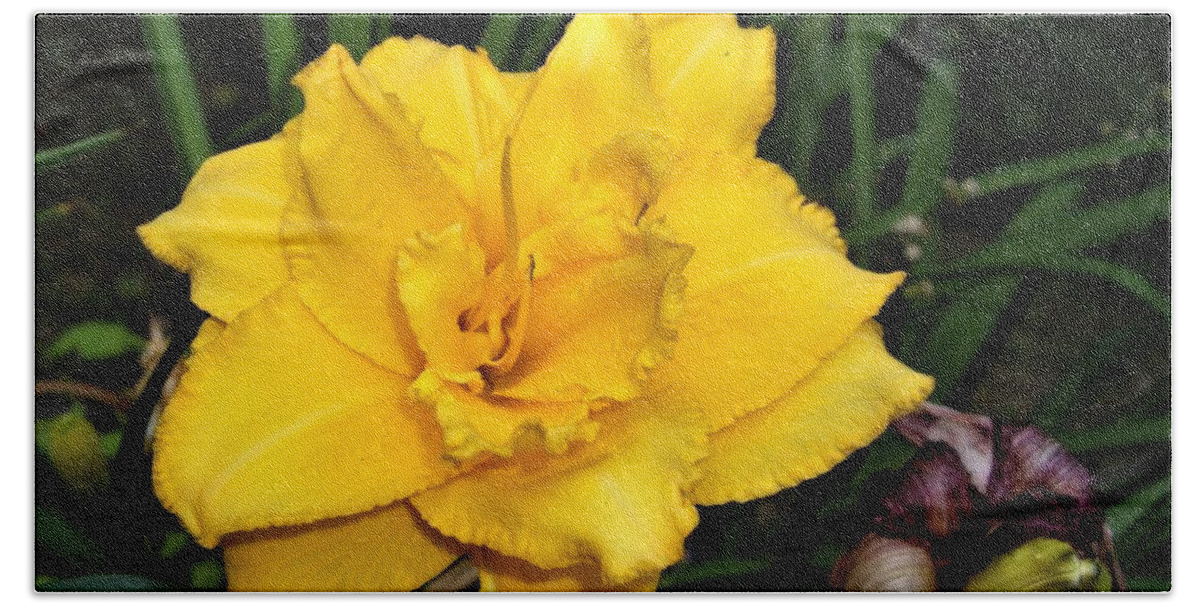 Flower Bath Towel featuring the photograph Gold Ruffled Day Lily by Nancy Ayanna Wyatt