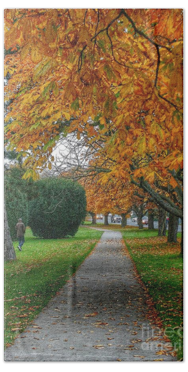 Trees Bath Towel featuring the photograph Golden Canopy by Kimberly Furey