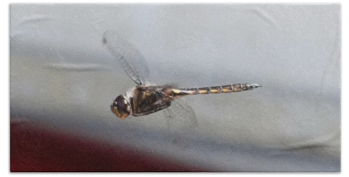 Nature Bath Towel featuring the photograph Golden Dragonfly Flying Up Close by Russel Considine