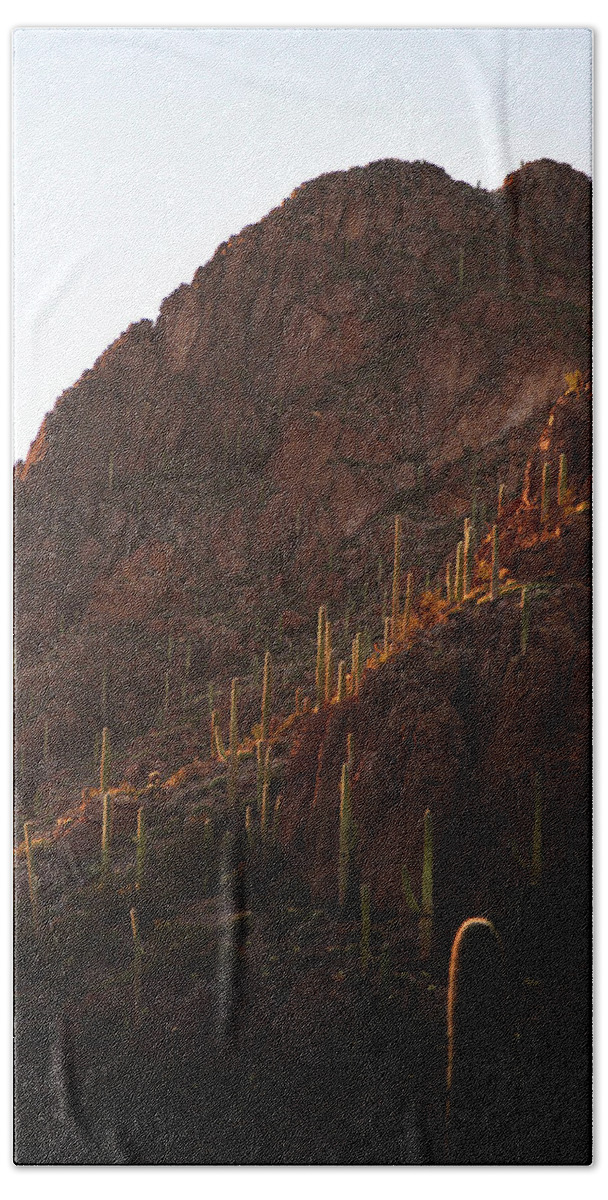 Tucson Hand Towel featuring the photograph Golden Hour Glow, Tucson Mountains, Arizona by Chance Kafka