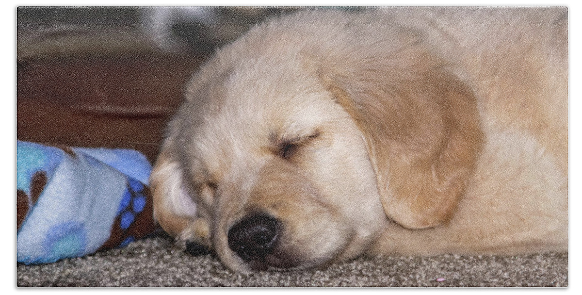 Animal Hand Towel featuring the photograph Golden Retriever Puppy Sleeping by Dawn Richards