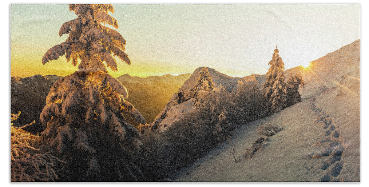 Balkan Mountains Hand Towel featuring the photograph Golden Winter by Evgeni Dinev