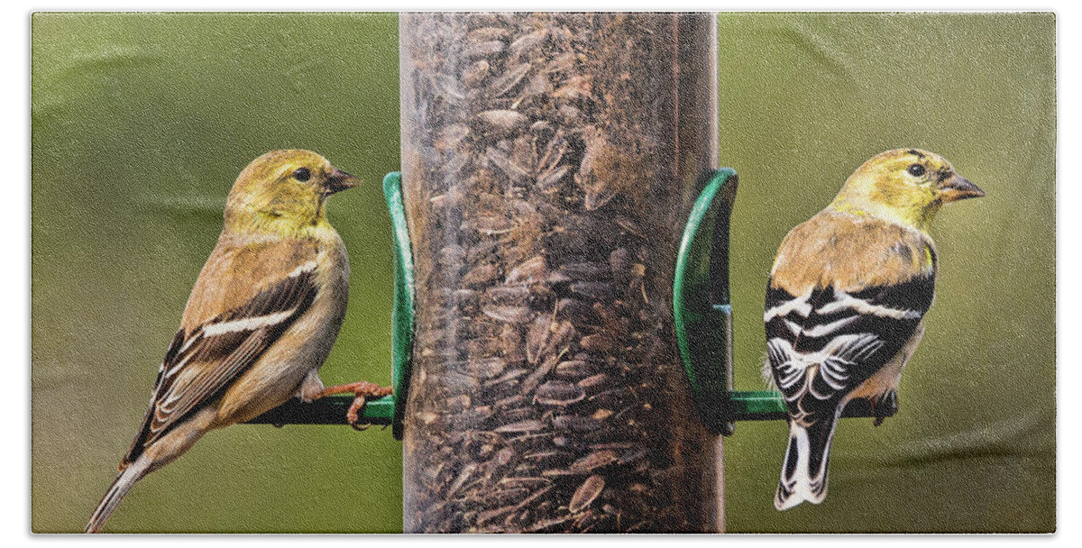 Goldfinchs Bath Towel featuring the photograph Goldfinches#2 by Joe Granita