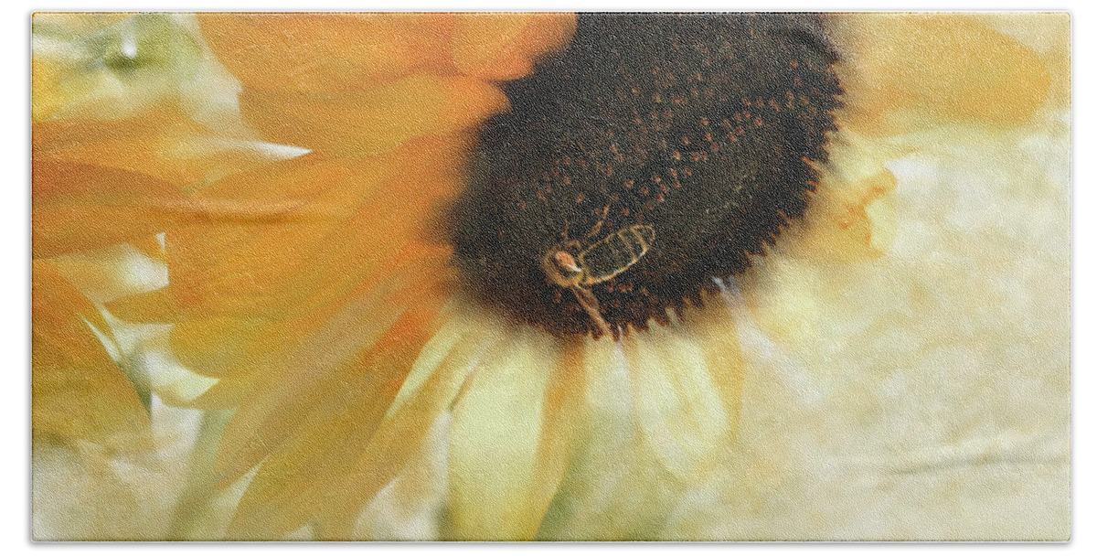 Sunflower Hand Towel featuring the photograph Good Day Sunshine by Sally Bauer