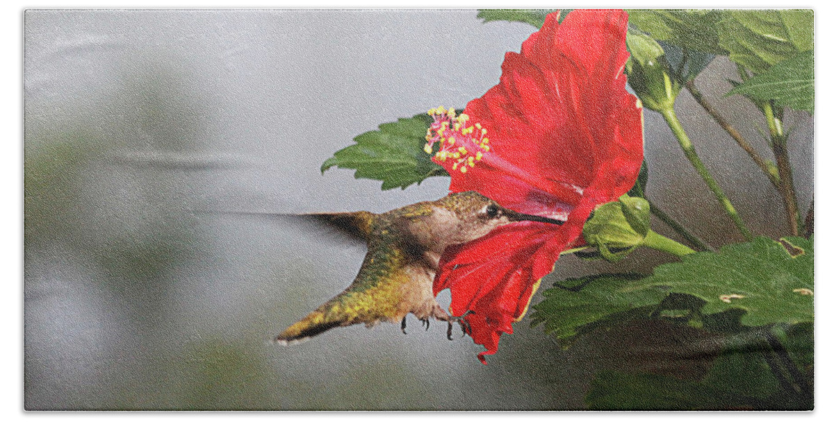 Red Hibiscus Hand Towel featuring the photograph Good to the Last Drop by Robert Camp