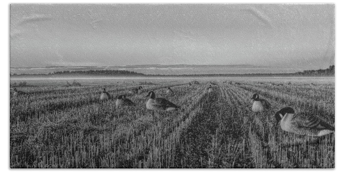 Black And White Hand Towel featuring the photograph Goose Hunt Over Foggy Oat Stubble BW by Dale Kauzlaric