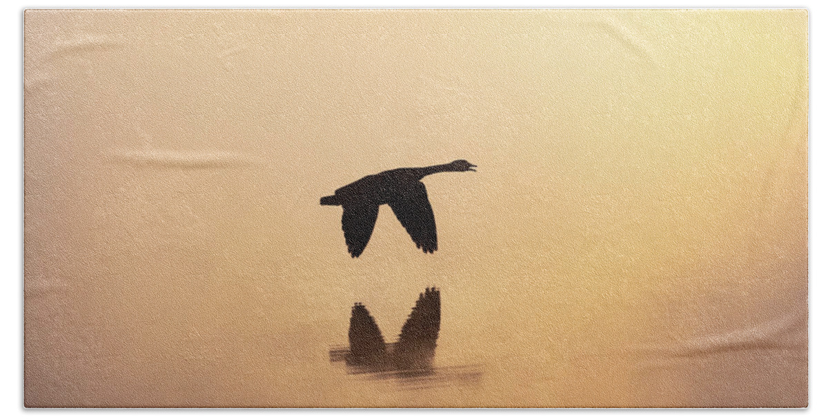 Canadian Goose Hand Towel featuring the photograph Goose In Flight Among The Mist by Jordan Hill