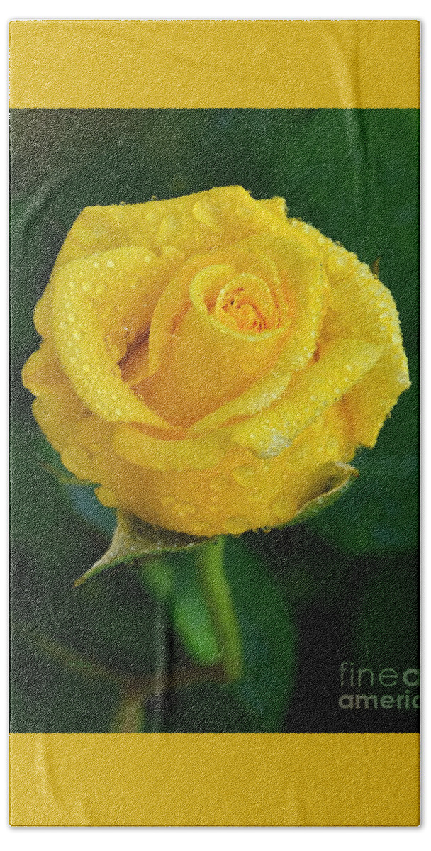 Gorgeous Misty Yellow Rose Hand Towel featuring the photograph Gorgeous Misty Yellow Rose by Patrick Witz