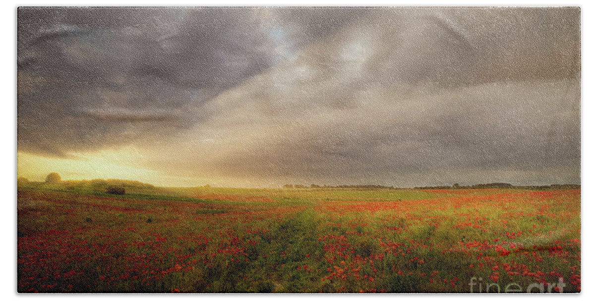 Poppies Bath Towel featuring the photograph Norfolk poppy field sunrise landscape by Simon Bratt