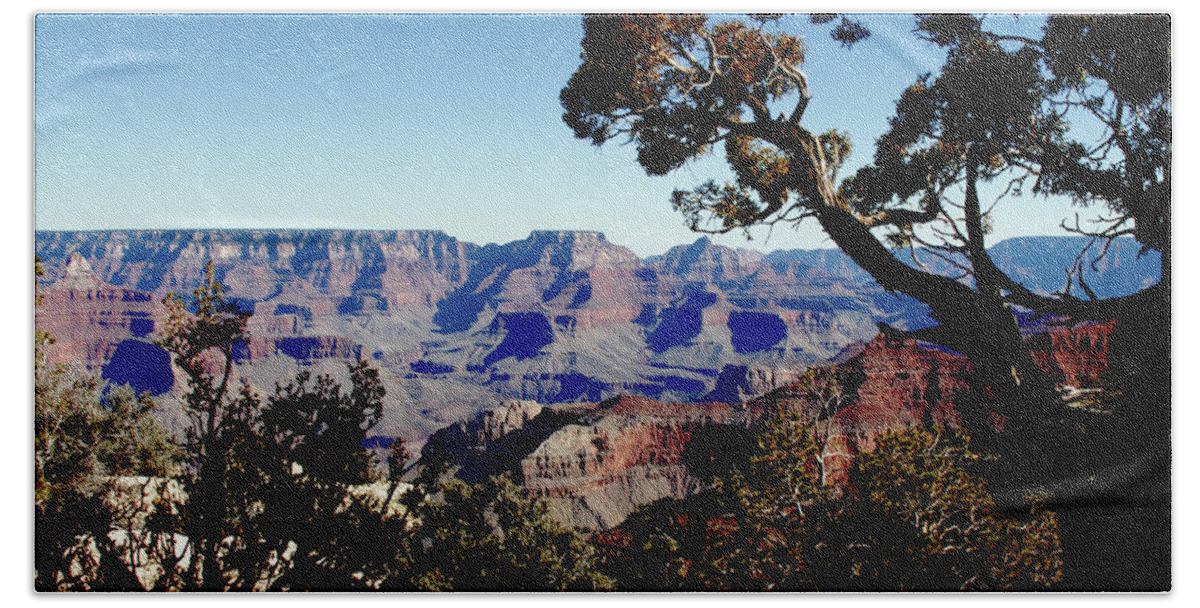 Arizona; Az; Grand Canyon; Rim; Four Corners Bath Towel featuring the photograph Grand Canyon South Rim by Tammy Hankins