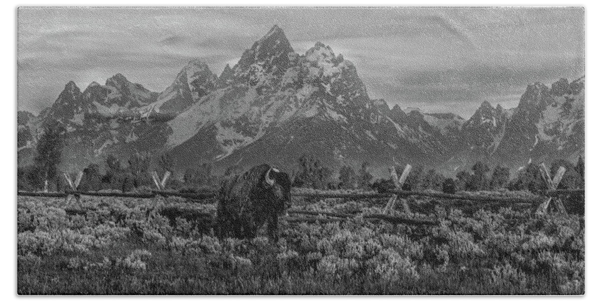  Hand Towel featuring the photograph Grand Teton Boss by Kevin Dietrich