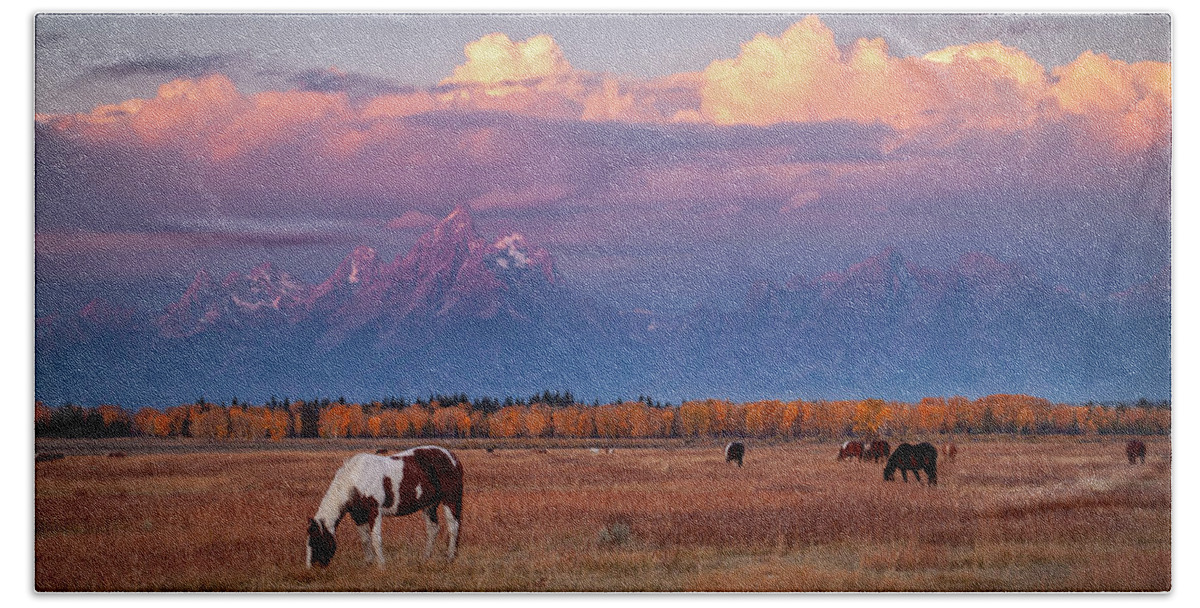 Grand Tetons Bath Towel featuring the photograph Grand Teton Pasture by Wesley Aston