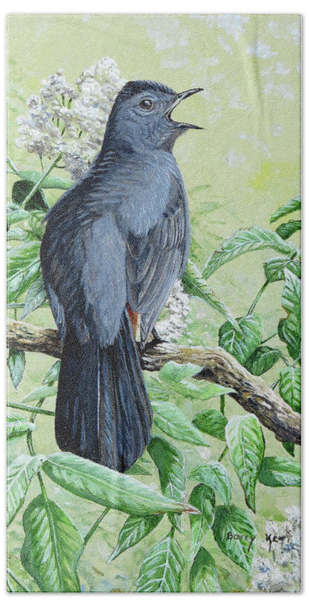 Wildlife Art Bath Towel featuring the painting Gray Catbird by Barry Kent MacKay